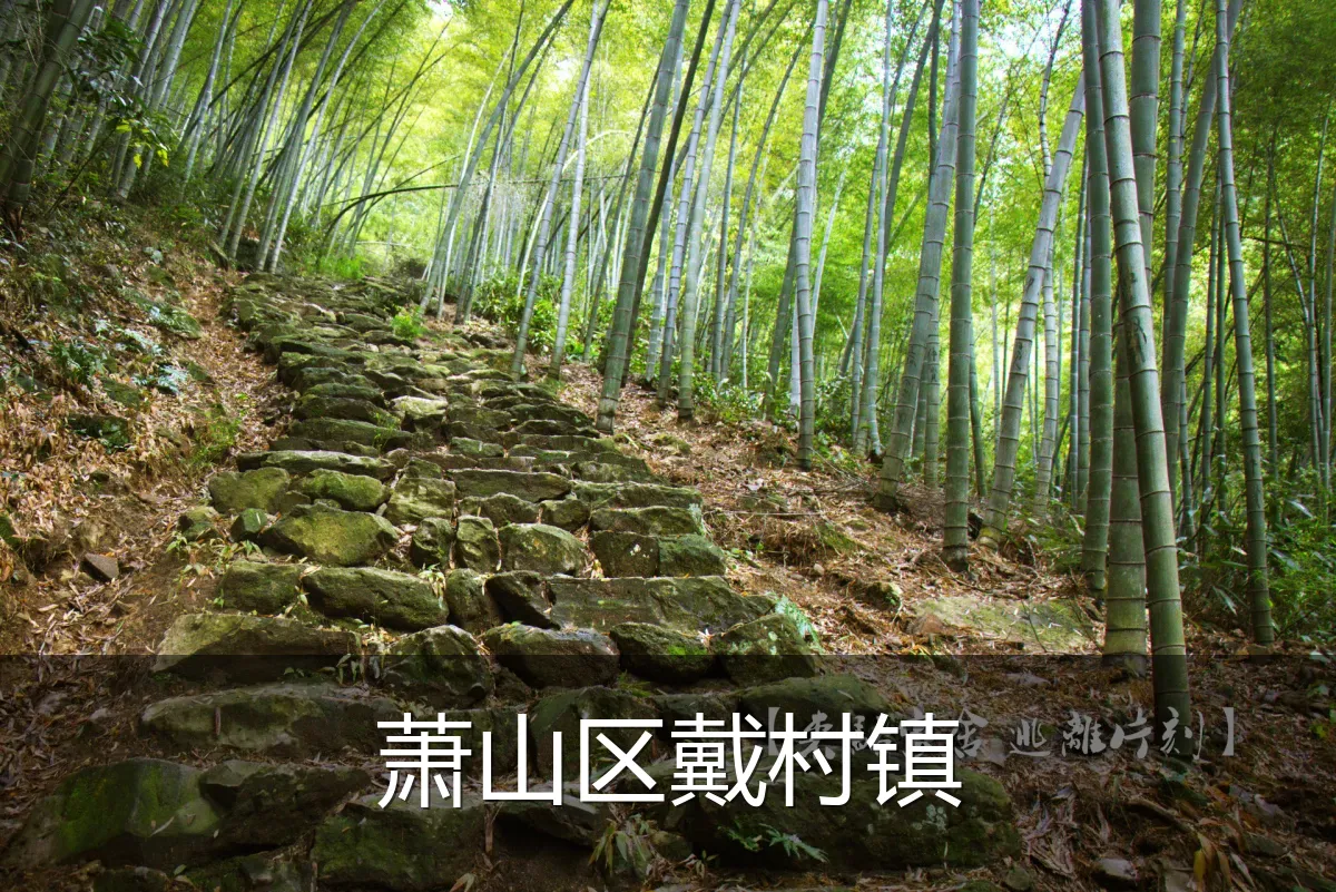 萧山区戴村镇