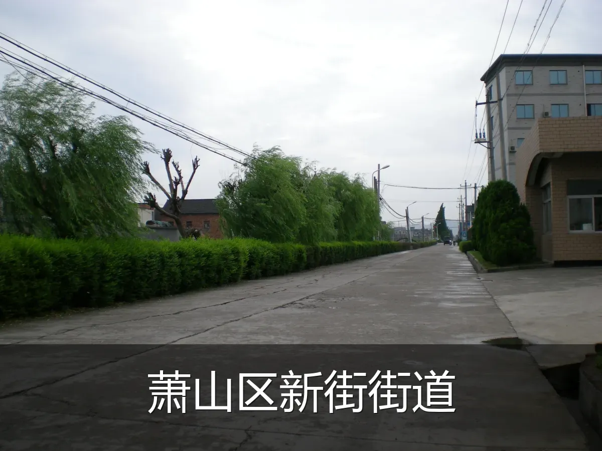萧山区新街街道