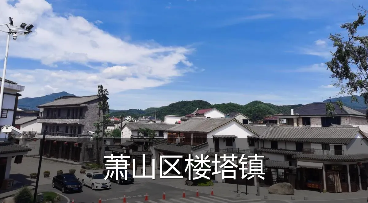 萧山区楼塔镇