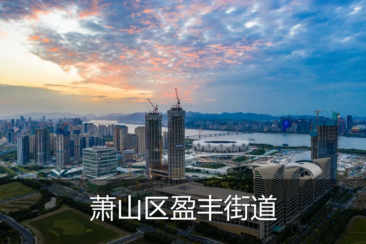 萧山区盈丰街道
