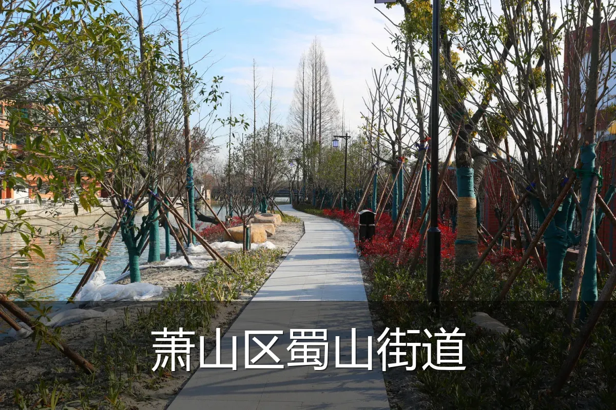 萧山区蜀山街道