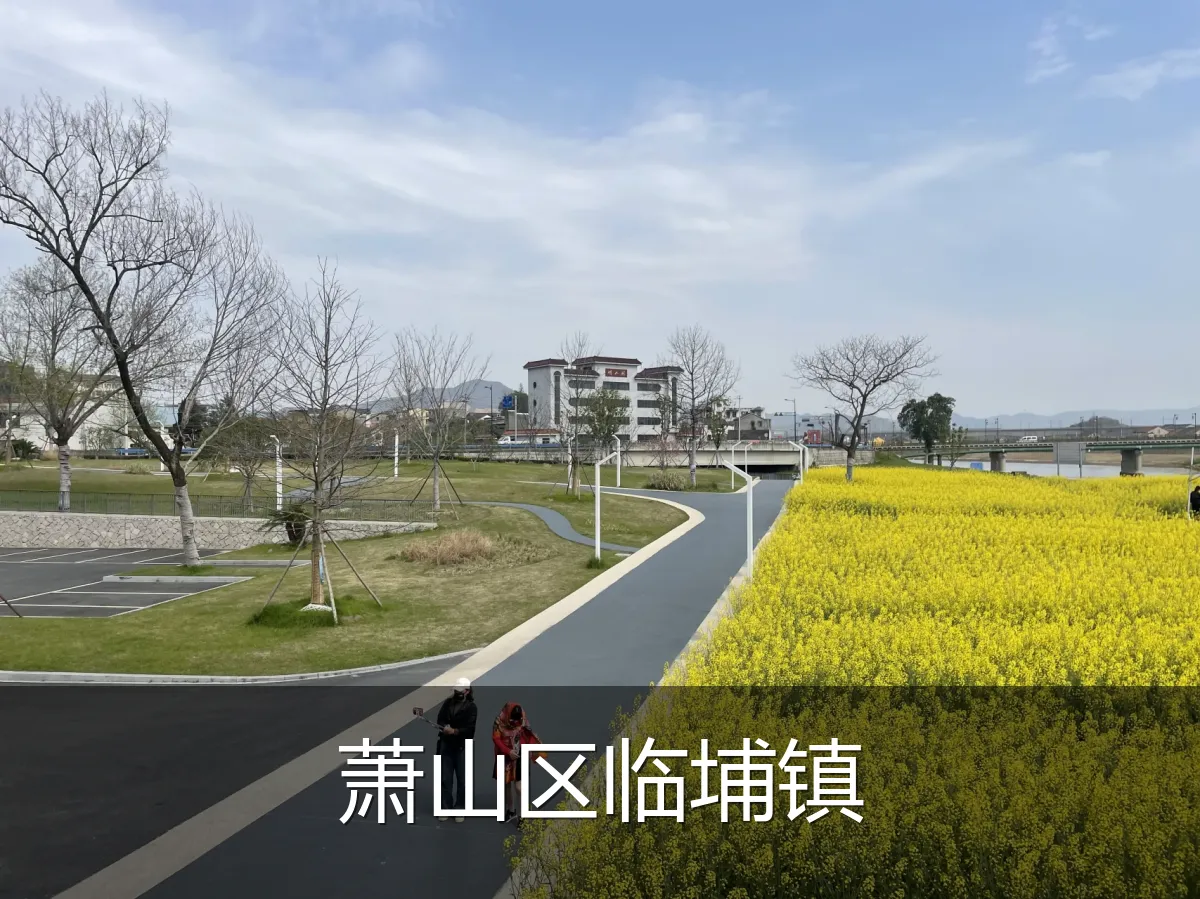 萧山区临埔镇