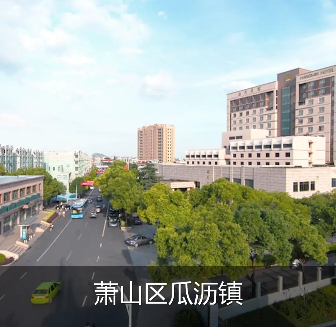 萧山区瓜沥镇