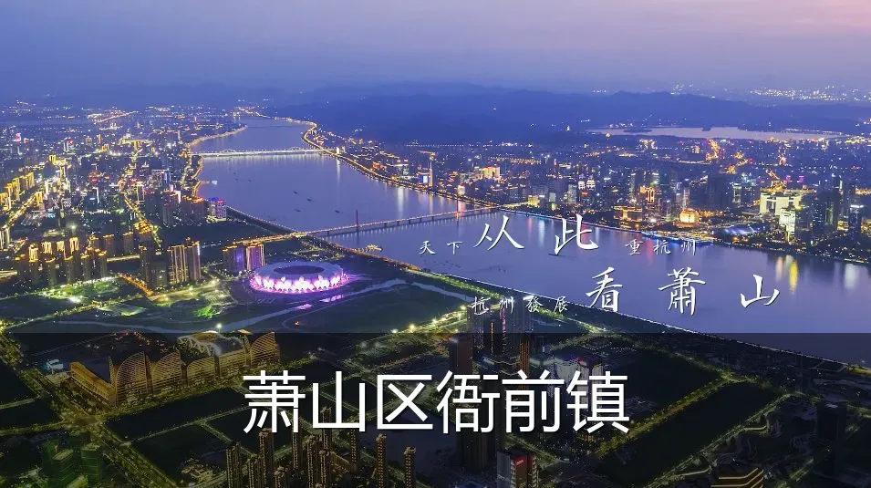 萧山区衙前镇
