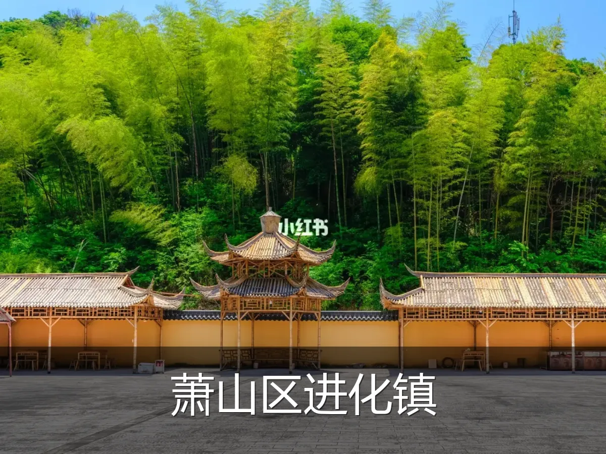 萧山区进化镇