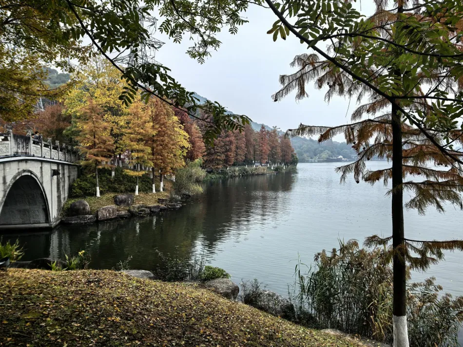 萧山区萧山区移动宽带